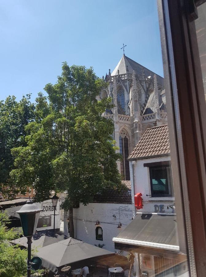 Al In Den Aap Gelogeerd? Apartment Mechelen Bagian luar foto