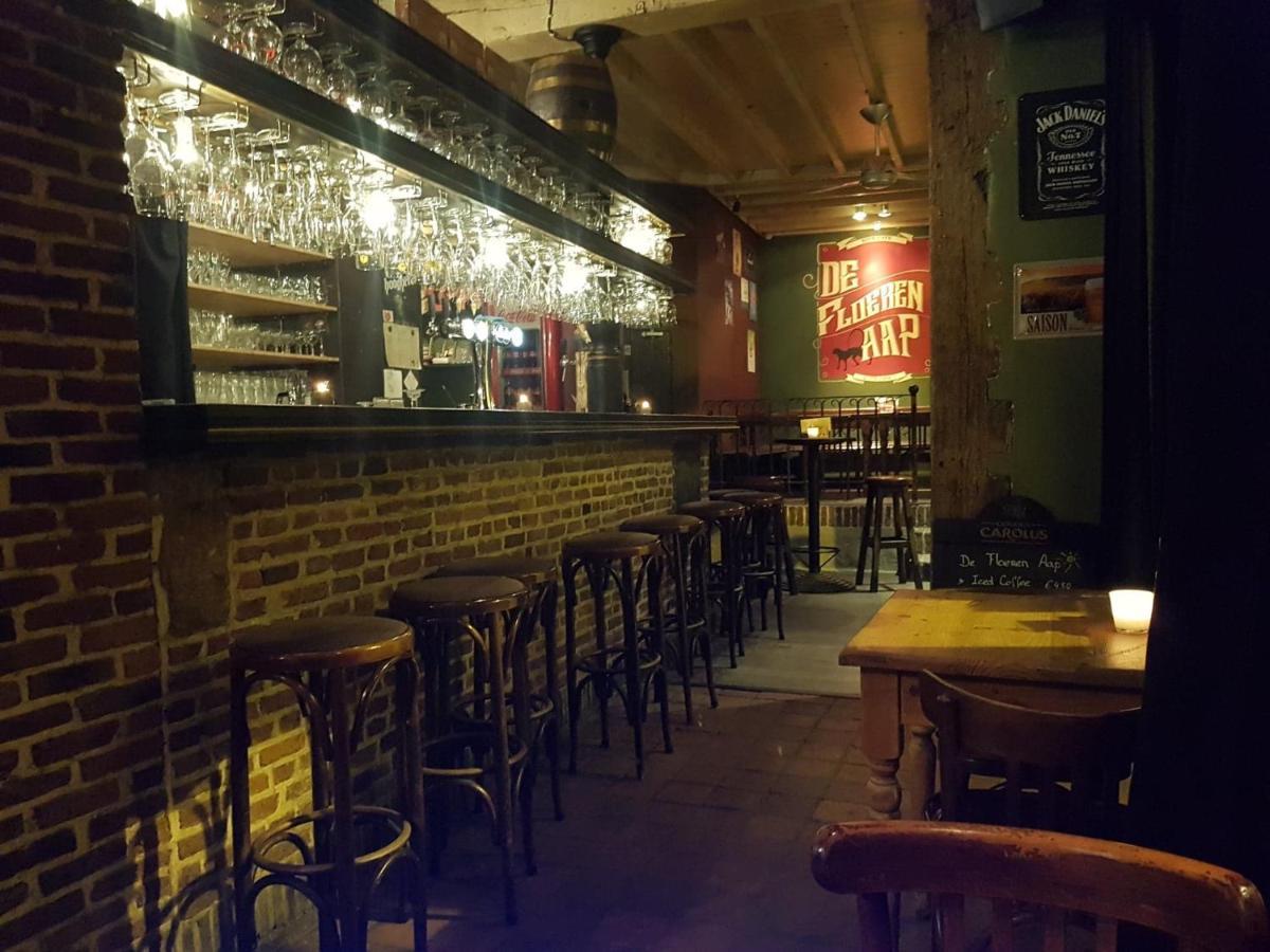 Al In Den Aap Gelogeerd? Apartment Mechelen Bagian luar foto